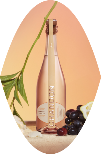 Chandon Gardent Spritz